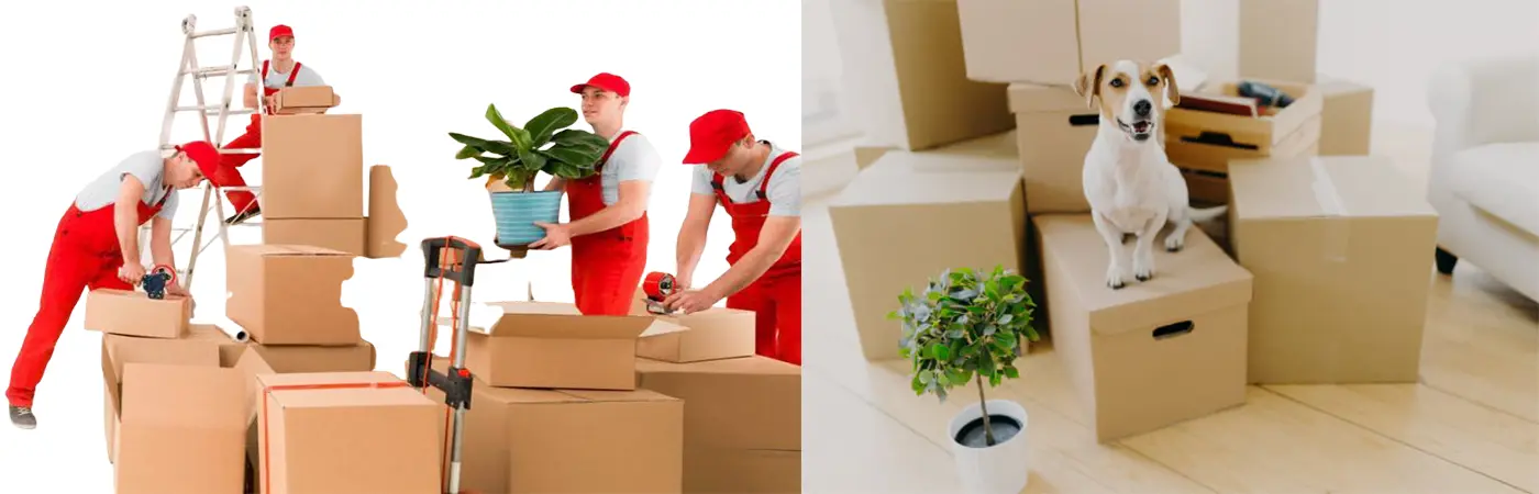 Banashankari Packers and Movers Mathikere Bangalore